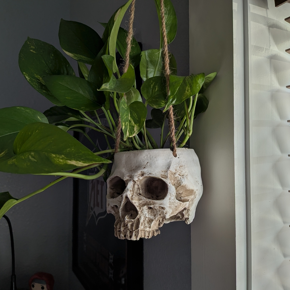 Hanging Skull Planter - Large